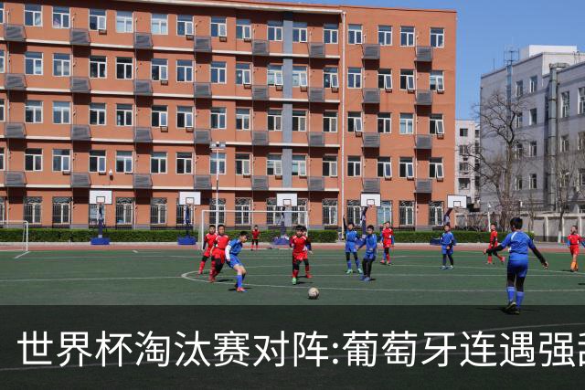 世界杯淘汰赛对阵:葡萄牙连遇强敌 阿根廷轻松