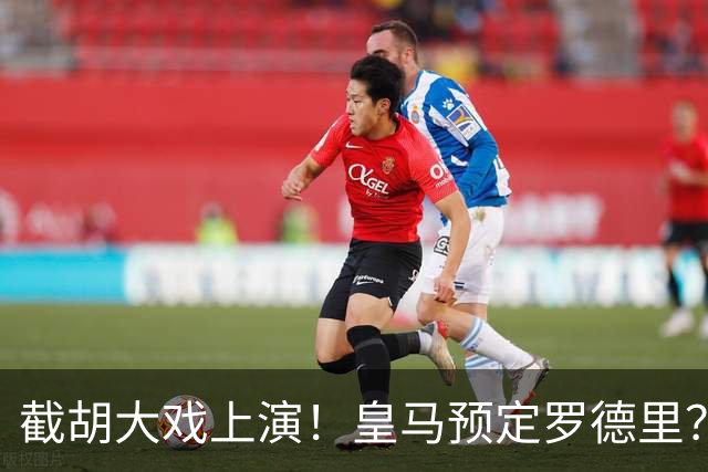 截胡大戏上演！皇马预定罗德里？巴萨5000万入局，曼城坐山观虎斗