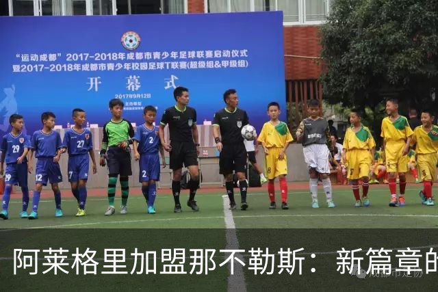 阿莱格里加盟那不勒斯：新篇章的开启与战术革新