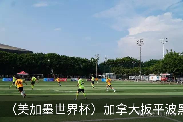 （美加墨世界杯）加拿大扳平波黑 获队史世界杯首分